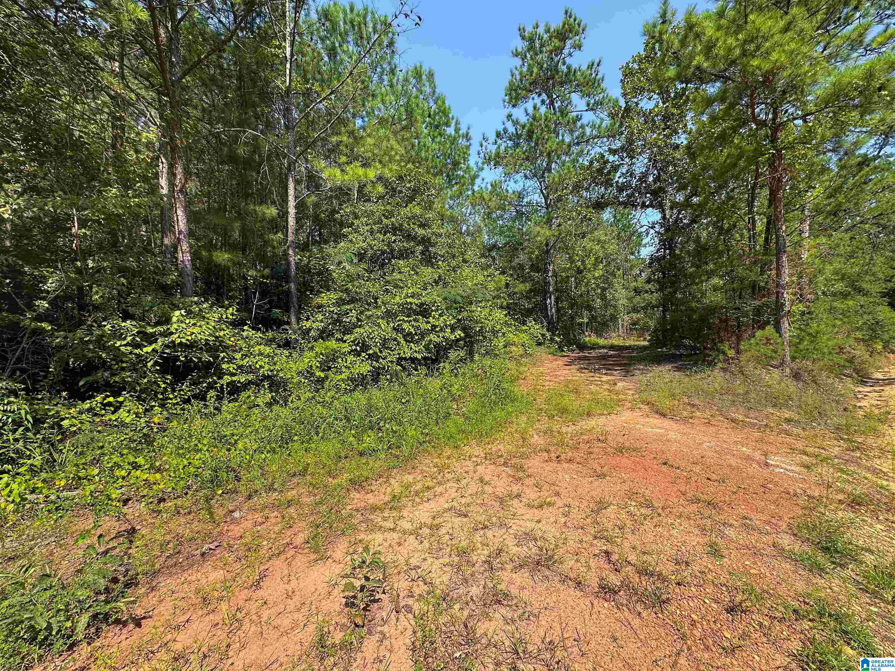 0 County Road 465, Unit 1 Clanton, AL 35045 - Photo 7 of 16