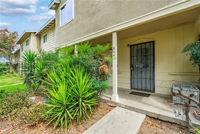 a couple of potted plants in front of door