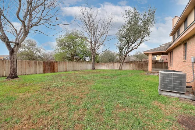 a view of a backyard with a large tree