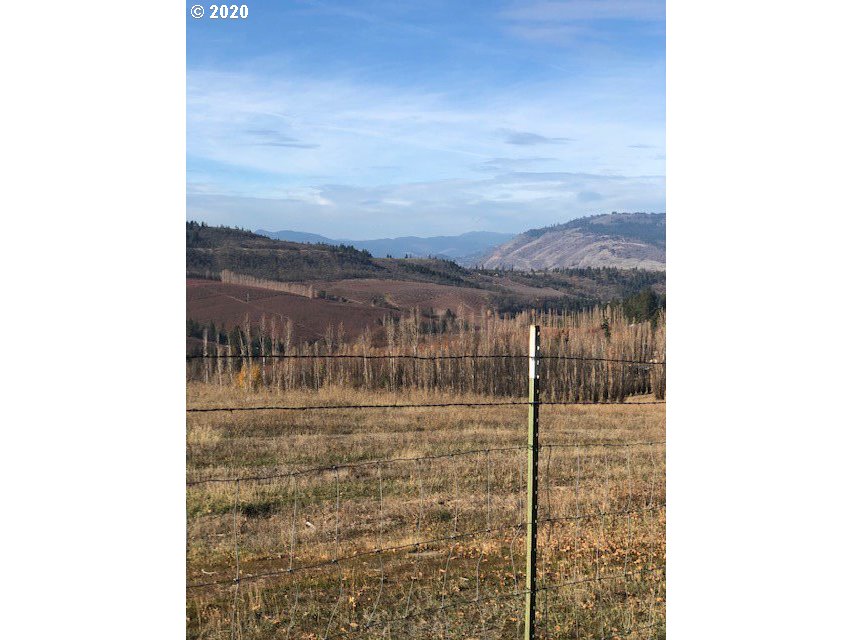 1631 Carroll Road Mosier, OR 97040 - Photo 11 of 18 Gallery Image 11