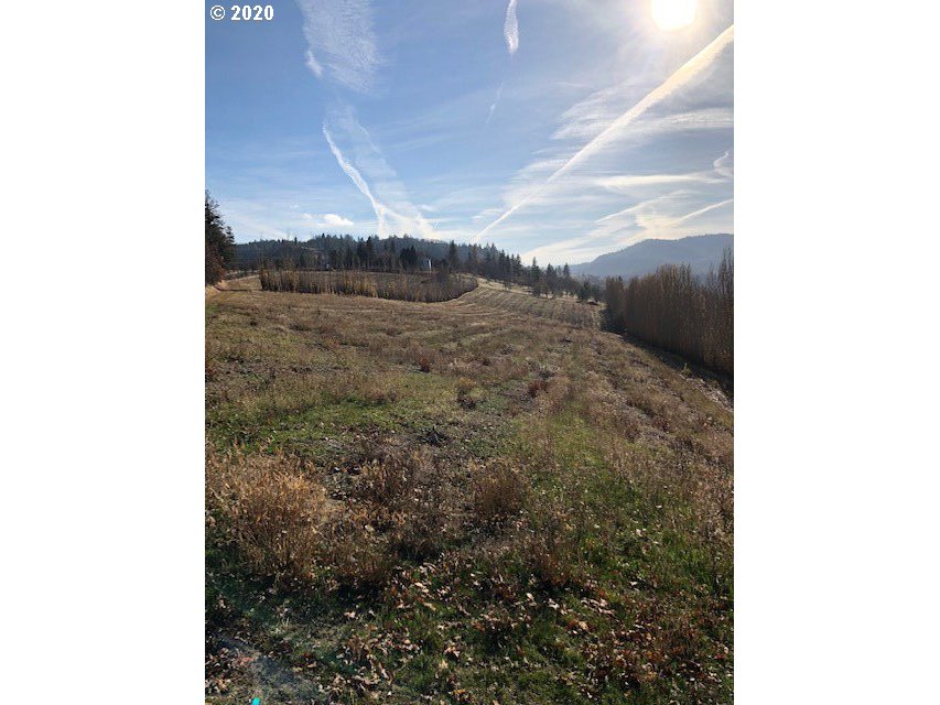 1631 Carroll Road Mosier, OR 97040 - Photo 15 of 18 Gallery Image 15