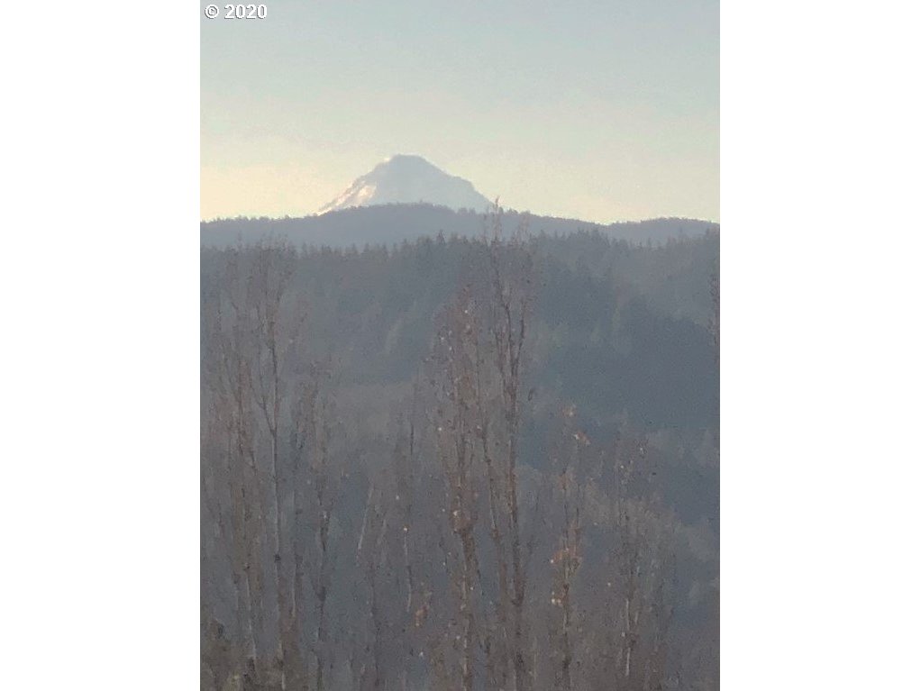 1631 Carroll Road Mosier, OR 97040 - Photo 16 of 18 Gallery Image 16