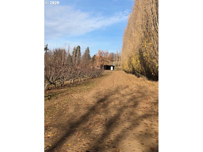 1631 Carroll Road Mosier, OR 97040 - Photo 18 of 18 Gallery Image 18