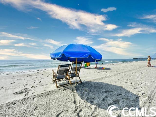 700 North Waccamaw Drive, Unit 217 Murrells Inlet, SC 29576 - Photo 38 of 40