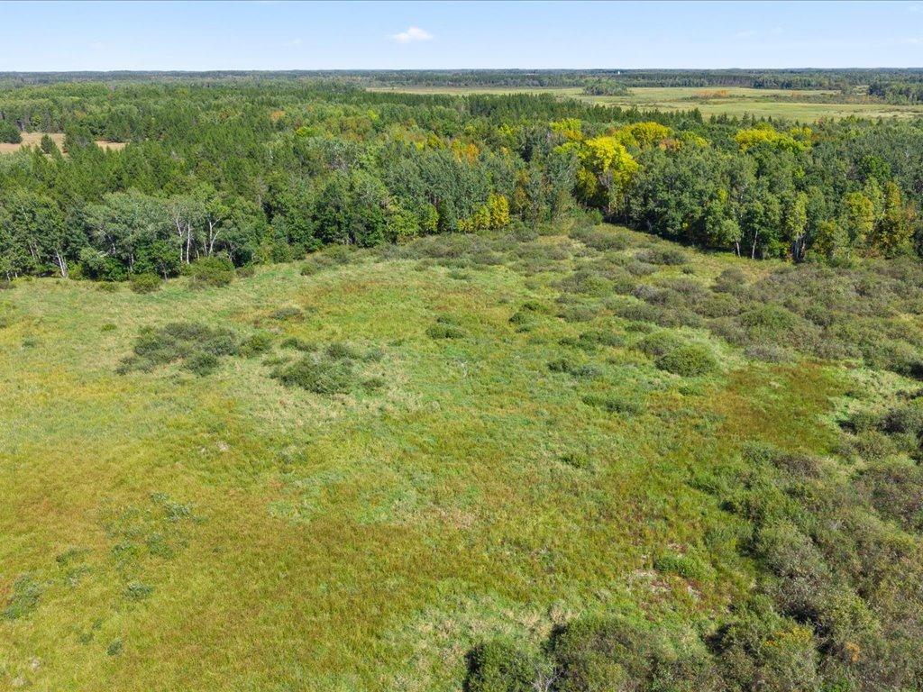 Tbd 96th Street Southwest Motley, MN 56466 - Photo 21 of 80 Gallery Image 21