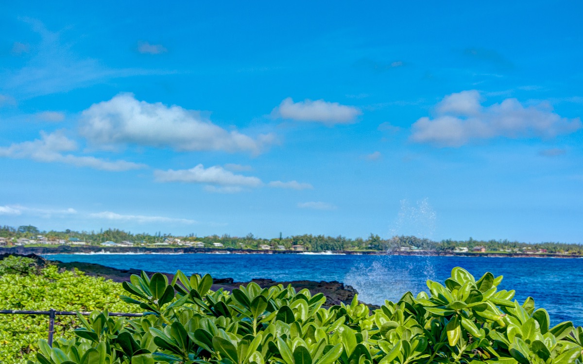 15-1849 Beach Road Keaau, HI 96749 - Photo 24 of 24 Gallery Image 24