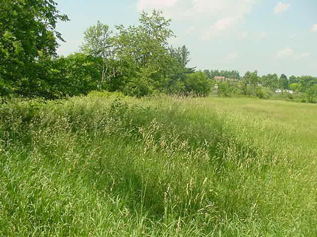 Primary Photo