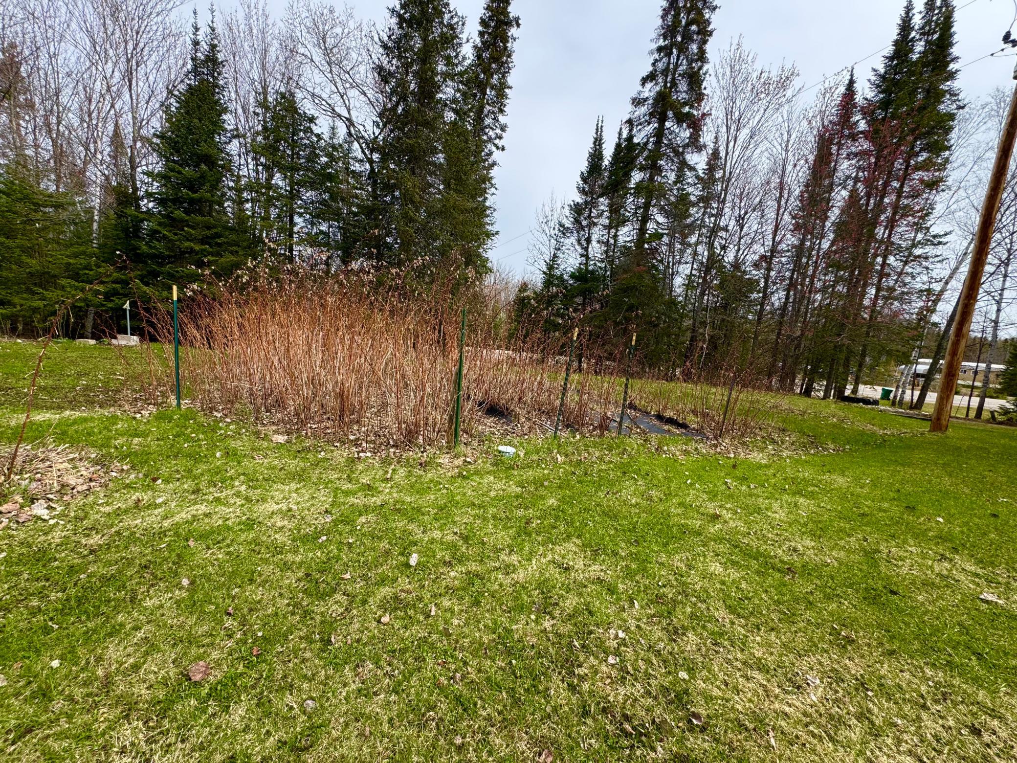 27135 Trout Lake Road Bovey, MN 55709 - Photo 35 of 37
