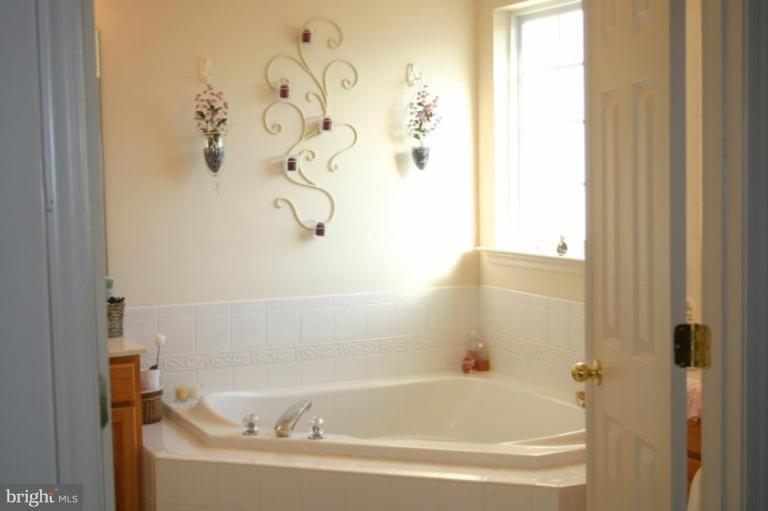 641 Springhouse Square Southeast Leesburg, VA 20175 - Photo 16 of 19 Master Bath #2