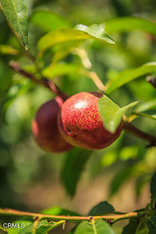 3665 Shadow Grove Road Pasadena, CA 91107 - Photo 27 of 27 a view of a lake