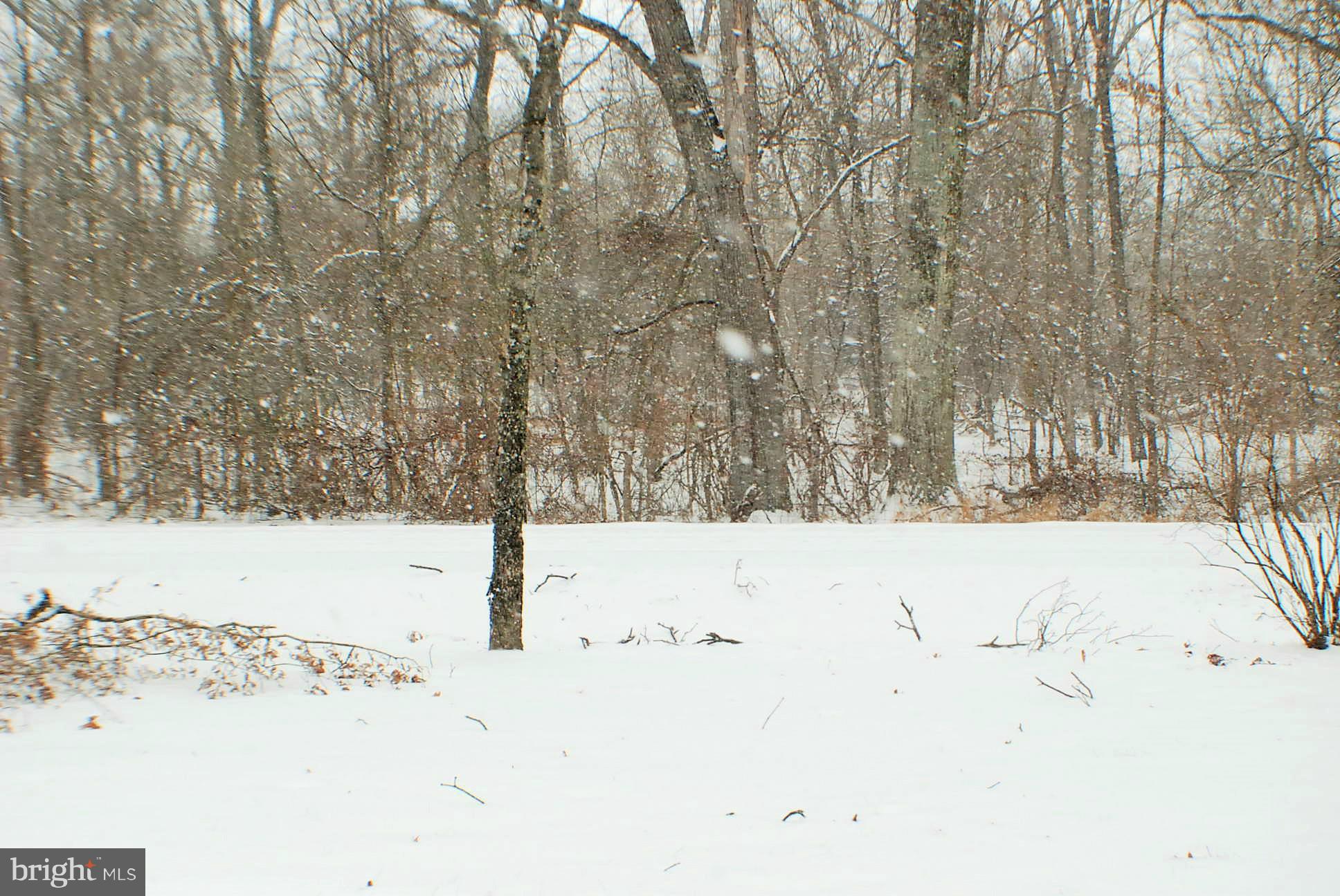 721 Moose Road Berryville, VA 22611 - Photo 24 of 30 Front Yard View