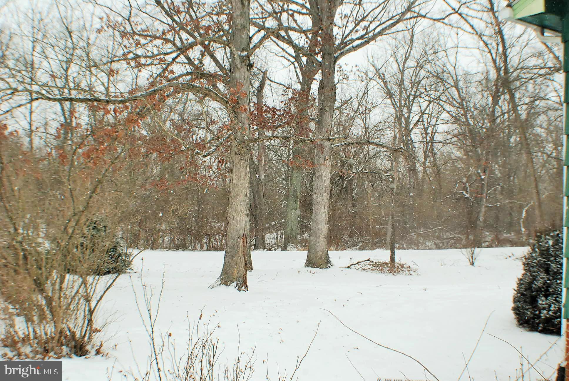 721 Moose Road Berryville, VA 22611 - Photo 26 of 30 Front Yard