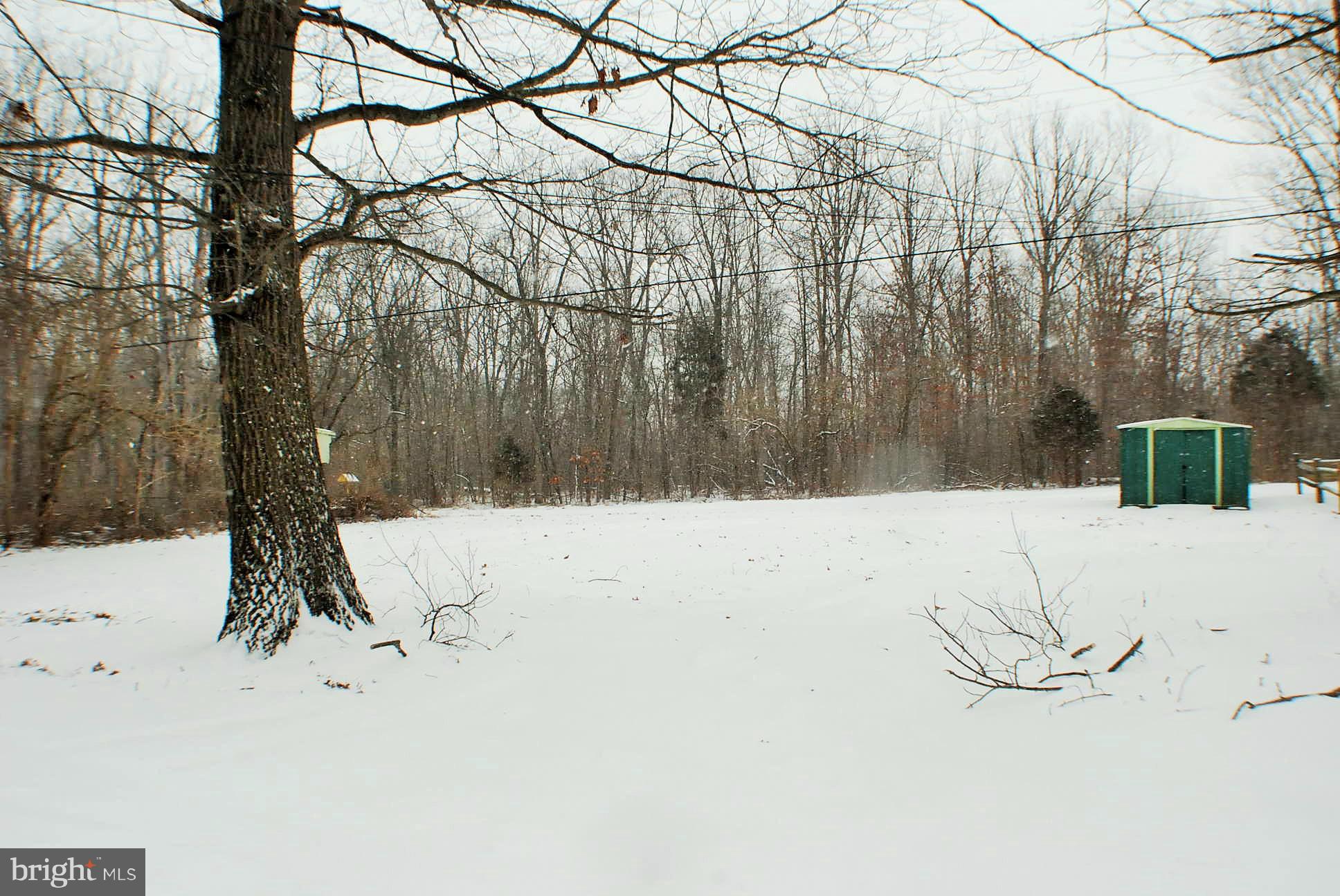 721 Moose Road Berryville, VA 22611 - Photo 30 of 30 Back Yard With Shed