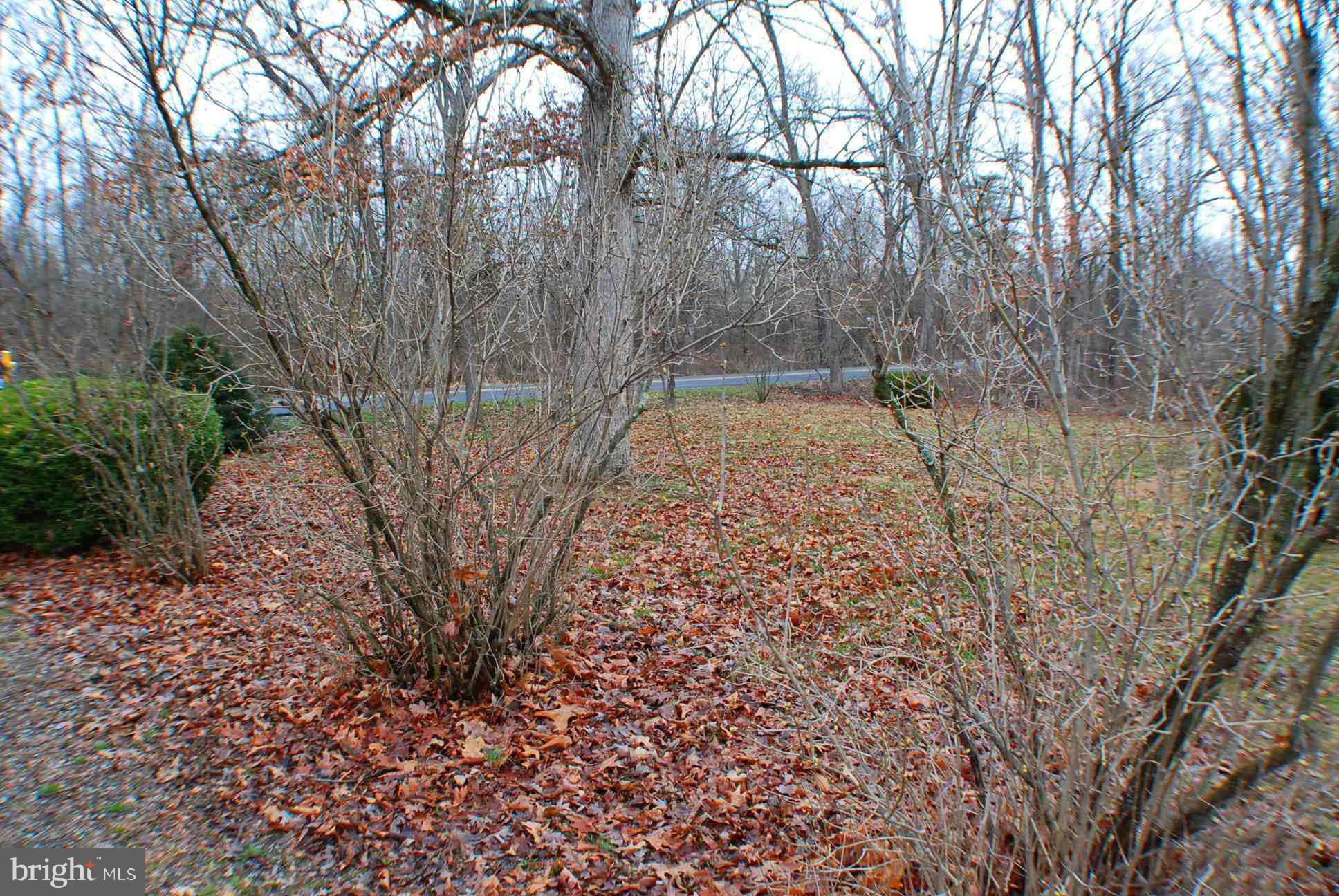 721 Moose Road Berryville, VA 22611 - Photo 8 of 30 Front Yard