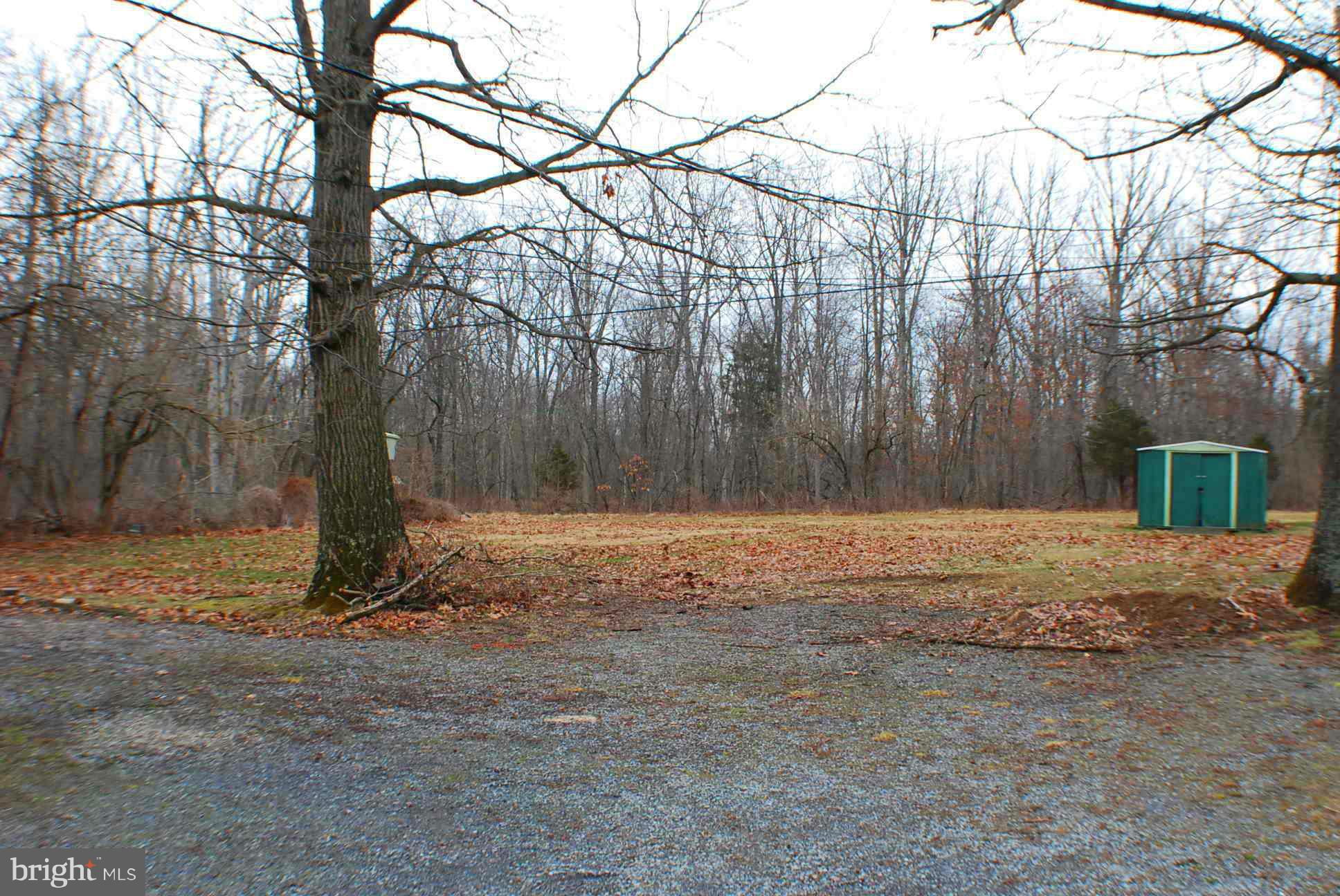 721 Moose Road Berryville, VA 22611 - Photo 9 of 30 Large back yard with 2nd shed