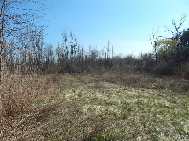 $34,900 | 3918 Alene Corners Road, Lincoln, NY 13032