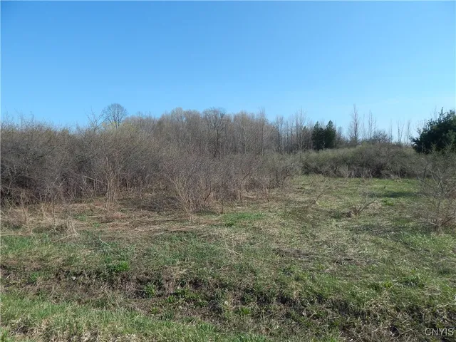 $34,900 | 3918 Alene Corners Road, Lincoln, NY 13032