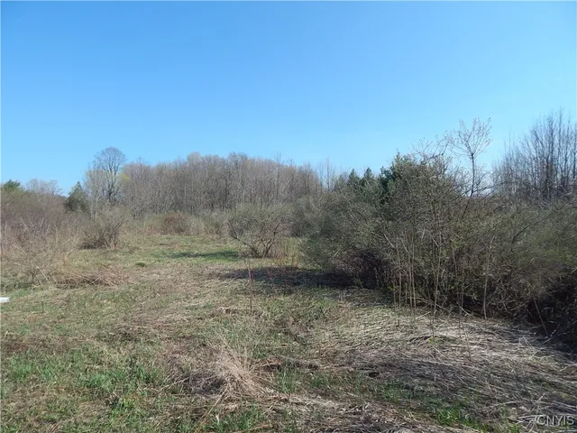 $34,900 | 3918 Alene Corners Road, Lincoln, NY 13032