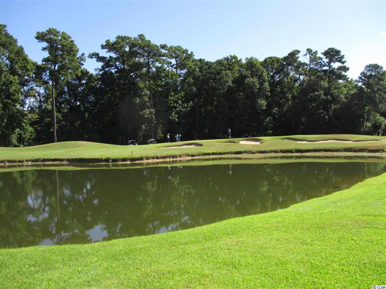 4470 Fringetree Drive Murrells Inlet, SC 29576 - Photo 30 of 35 Gallery Image 30
