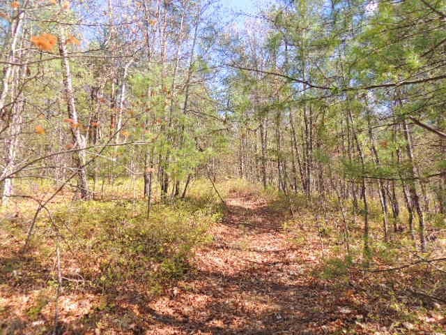 Tbd Locust Hill Road Max Meadows, VA 24360 - Photo 7 of 20 Gallery Image 7