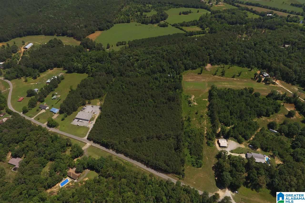 0 Williams Road, Unit 1 Jacksonville, AL 36265 - Photo 8 of 11