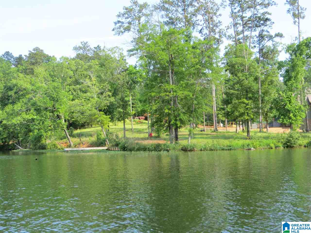 Lot 9 Eagle Mountain Road, Unit 9 Alexander City, AL 35010 - Photo 1 of 13