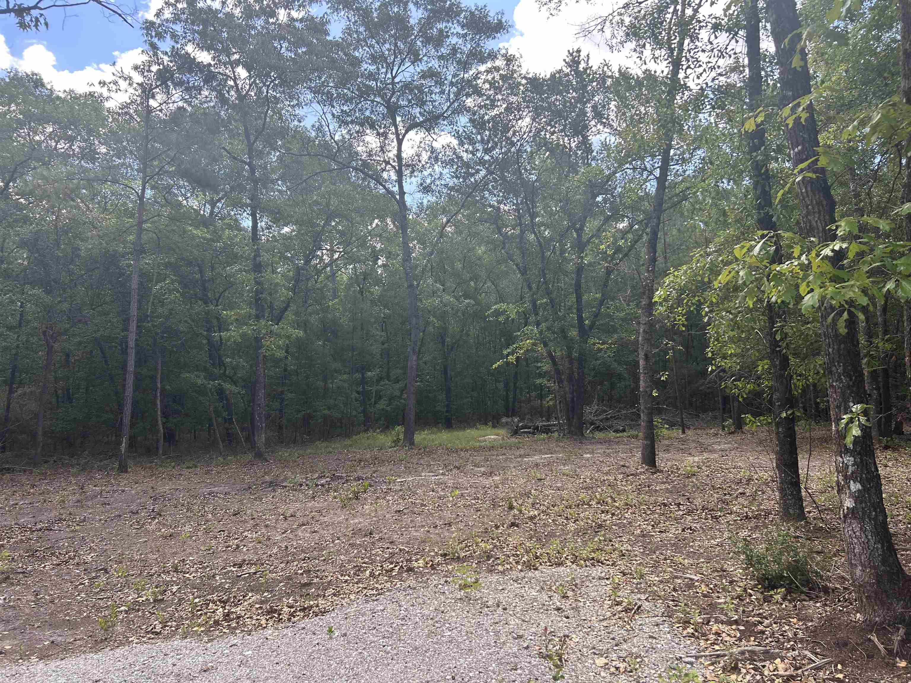 21098 North Fraser Street Georgetown, SC 29440 - Photo 17 of 18