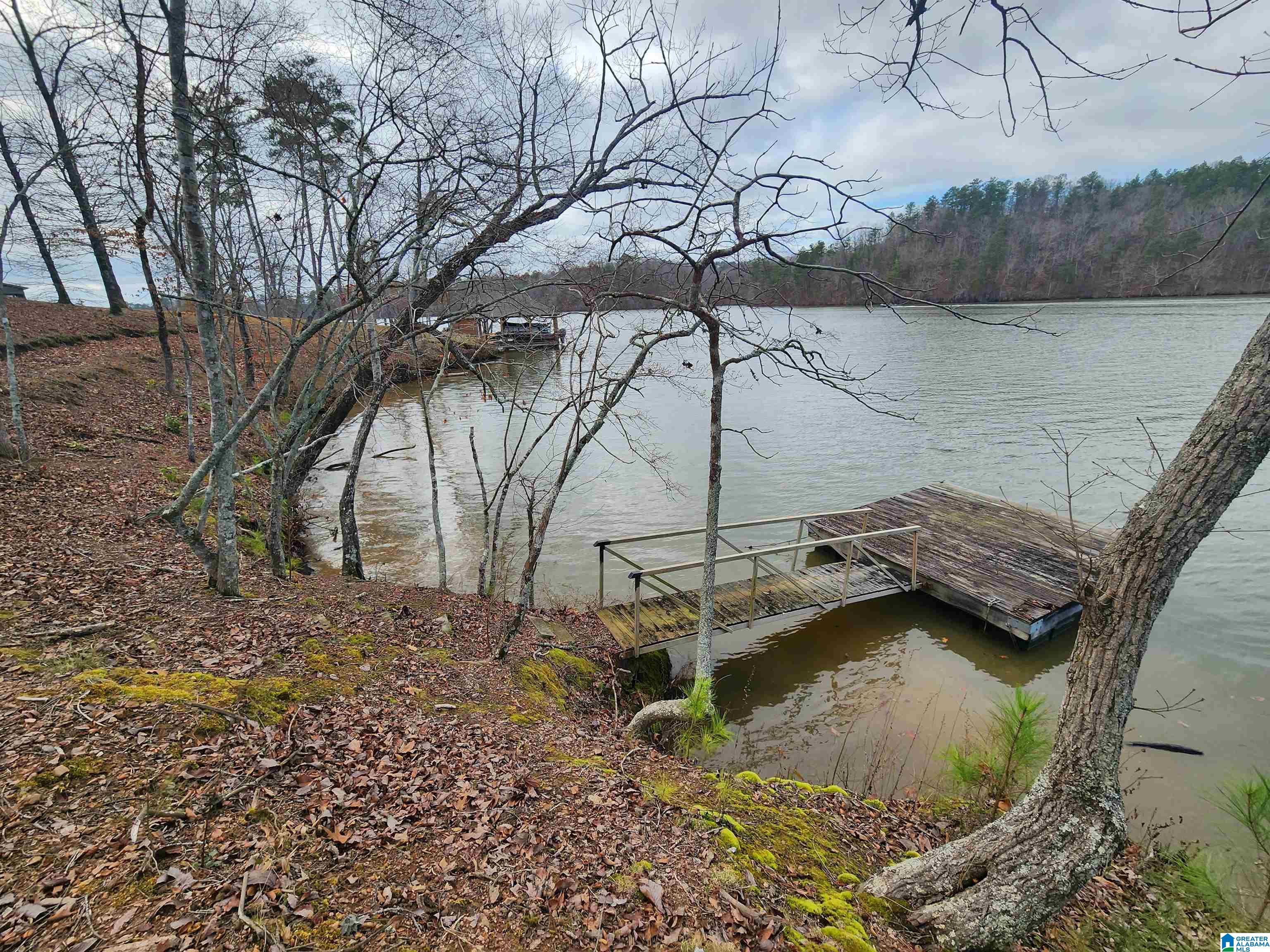Lot 8 Eagle Mountain Road, Unit 8 Alexander City, AL 35010 - Photo 4 of 27