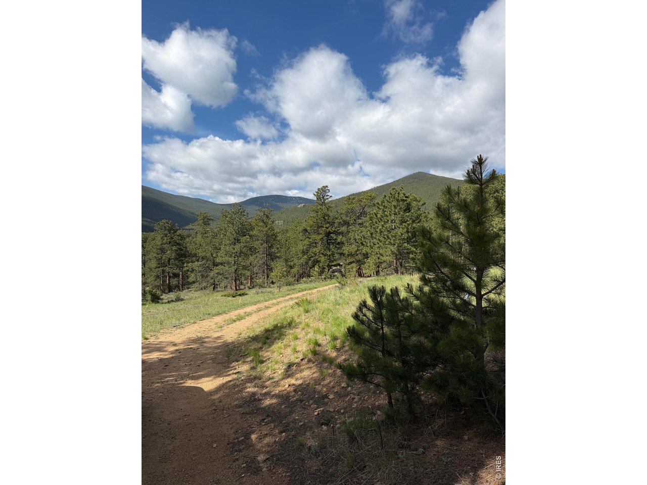 270 Ski Road East Allenspark, CO 80510 - Photo 29 of 30