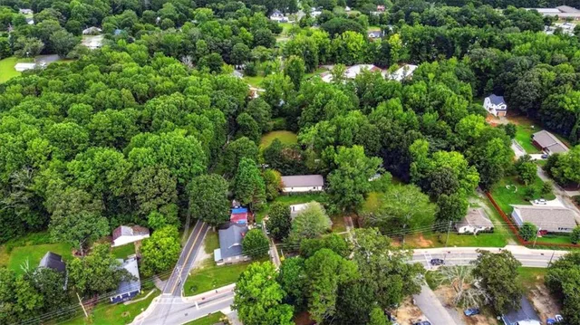 a view of a garden with plants