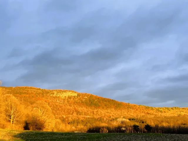 $354,900 | 7323 Highway 22A, Addison, VT 05491