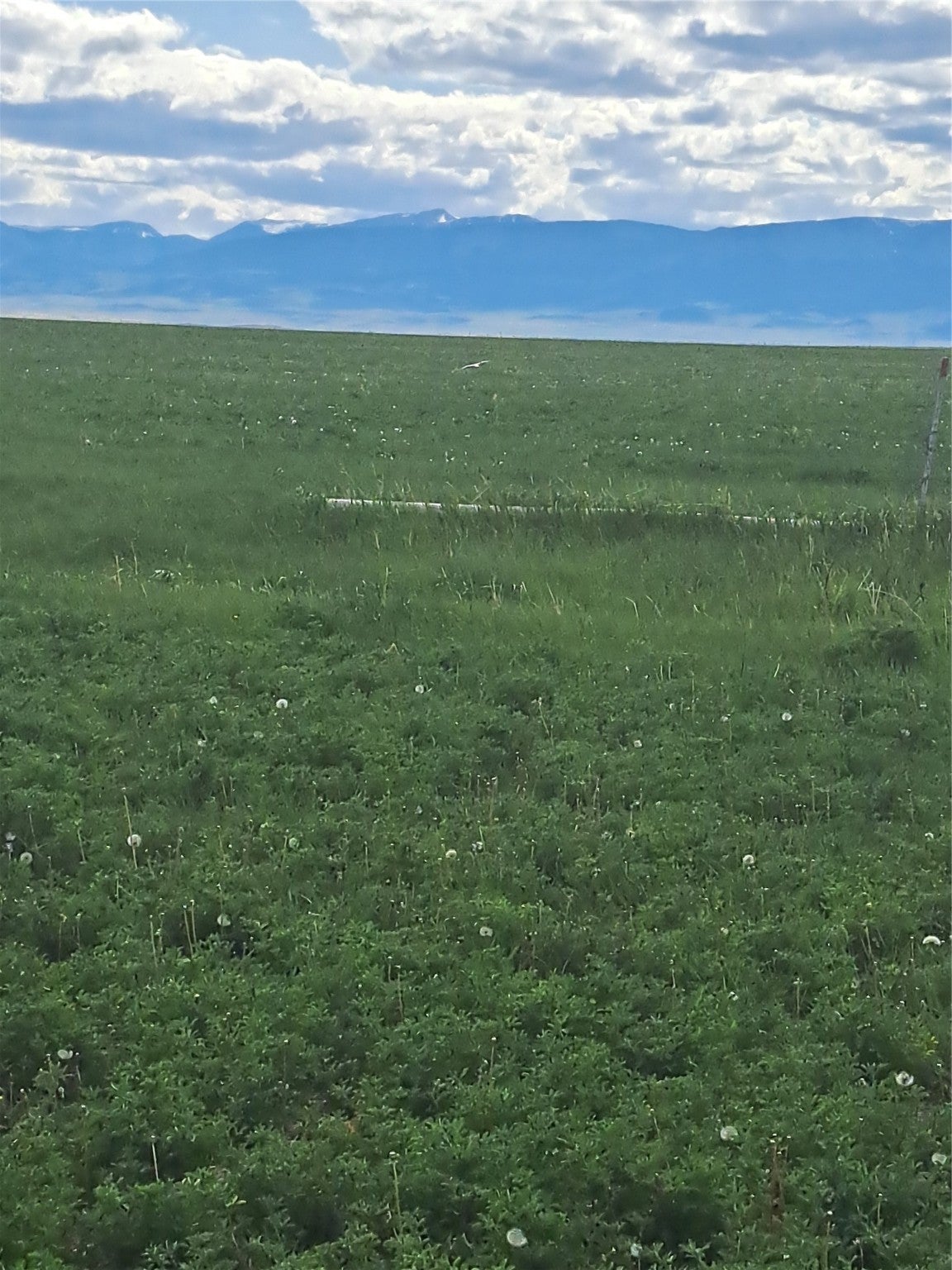 1570 3rd Road Southwest Fairfield, MT 59436 - Photo 1 of 1 Gallery Image 1