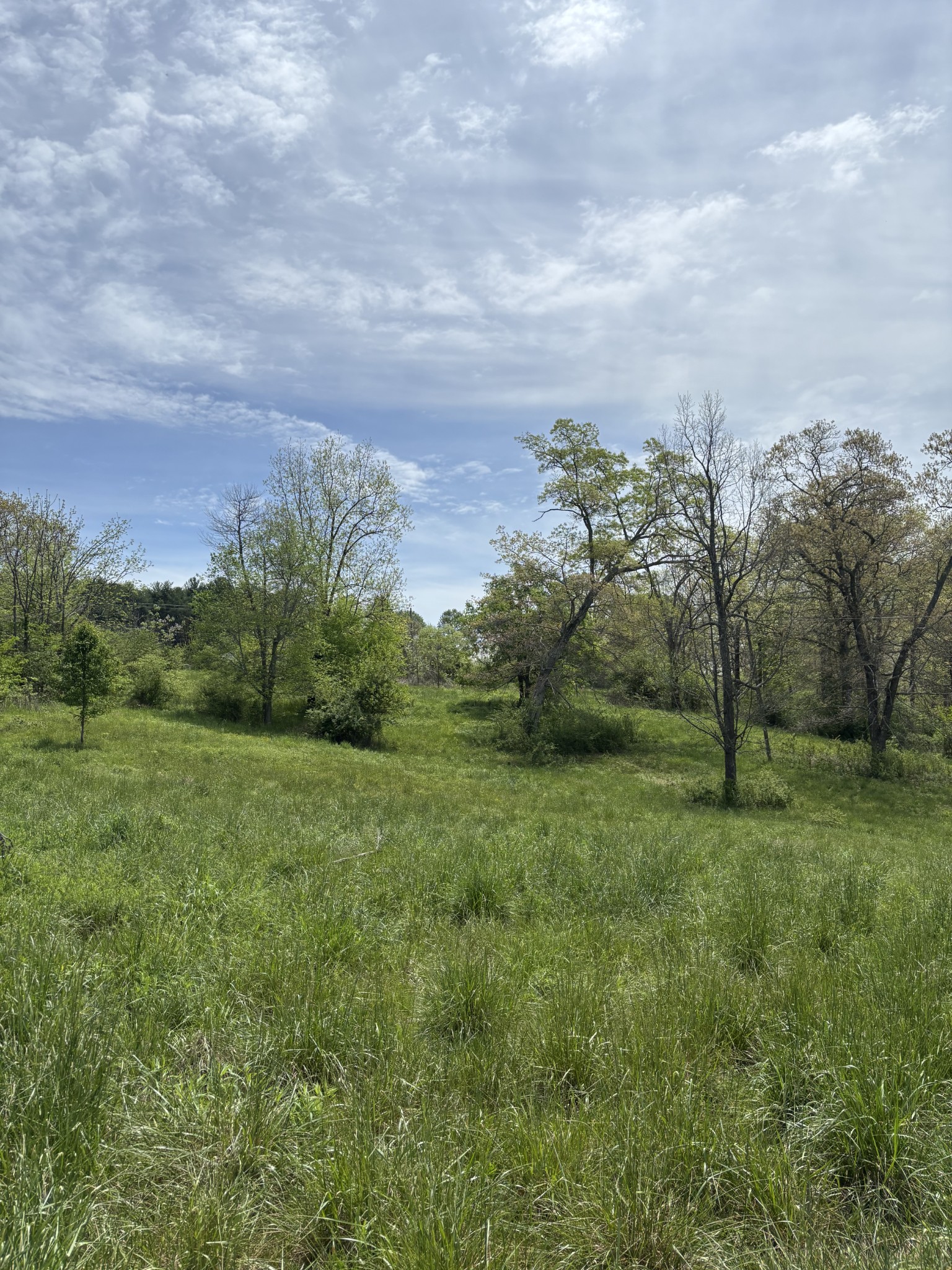 0 Myers Hill Road Tracy City, TN 37387 - Photo 4 of 11