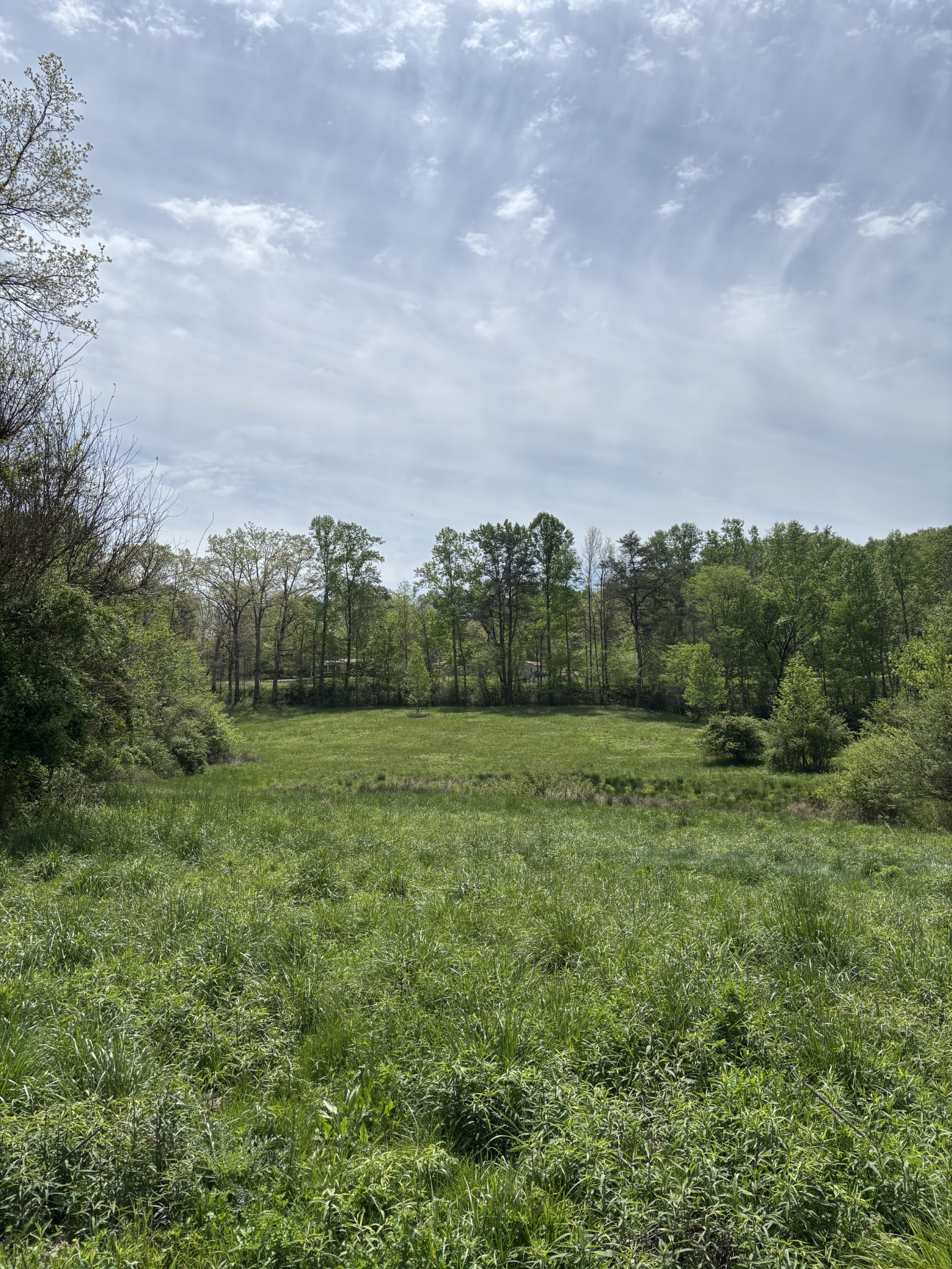 0 Myers Hill Road Tracy City, TN 37387 - Photo 5 of 11