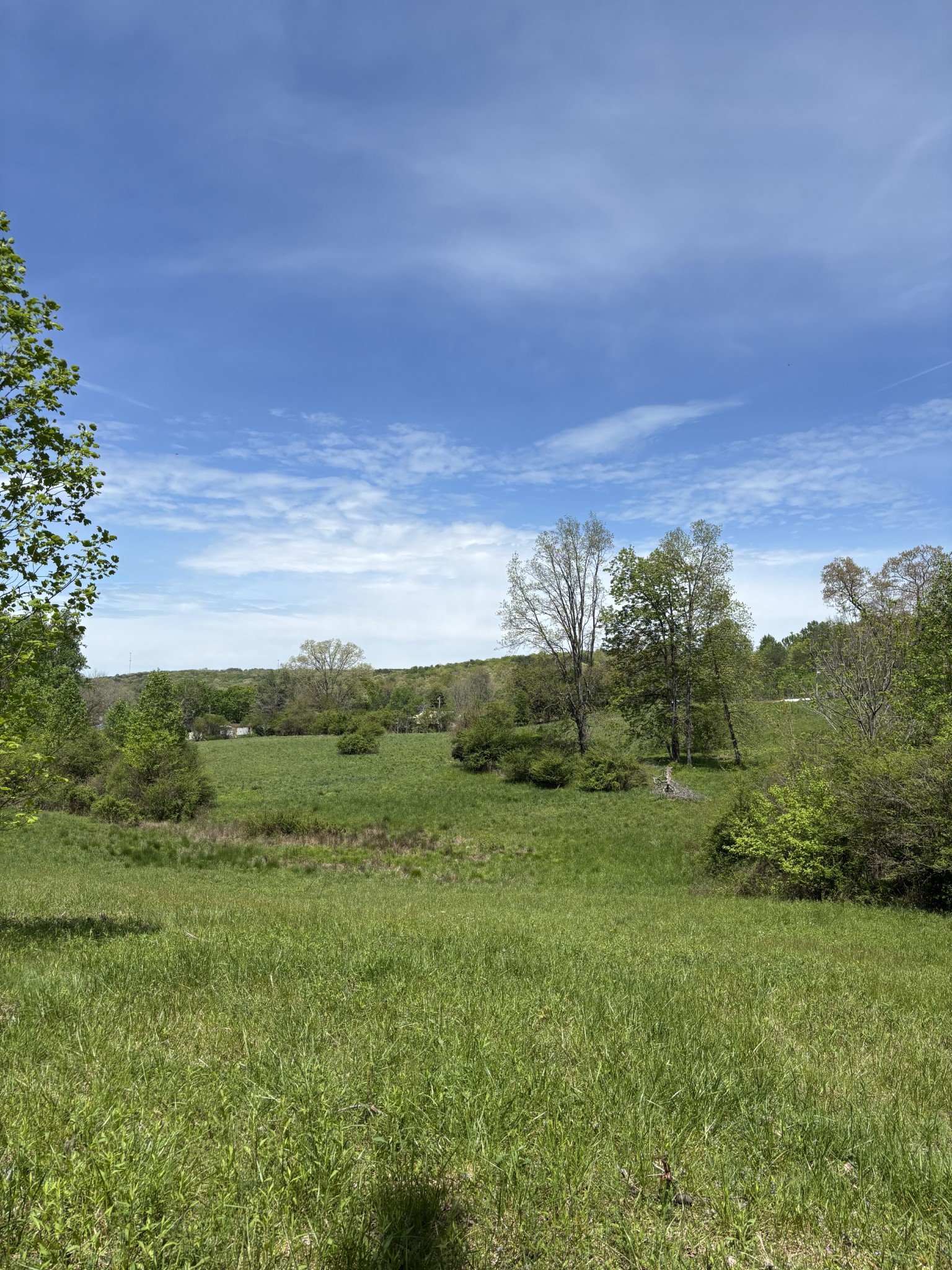 0 Myers Hill Road Tracy City, TN 37387 - Photo 7 of 11