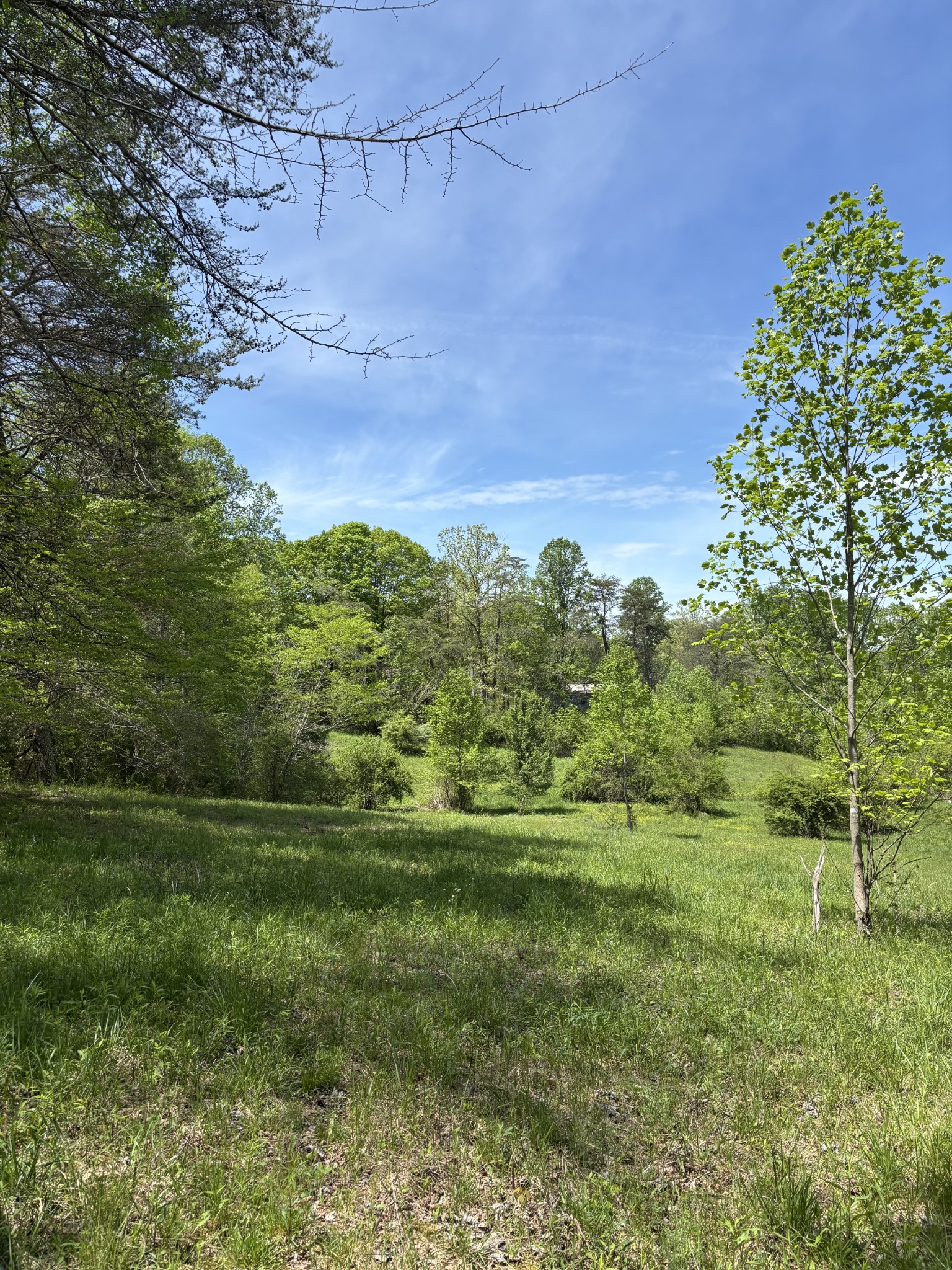 0 Myers Hill Road Tracy City, TN 37387 - Photo 8 of 11