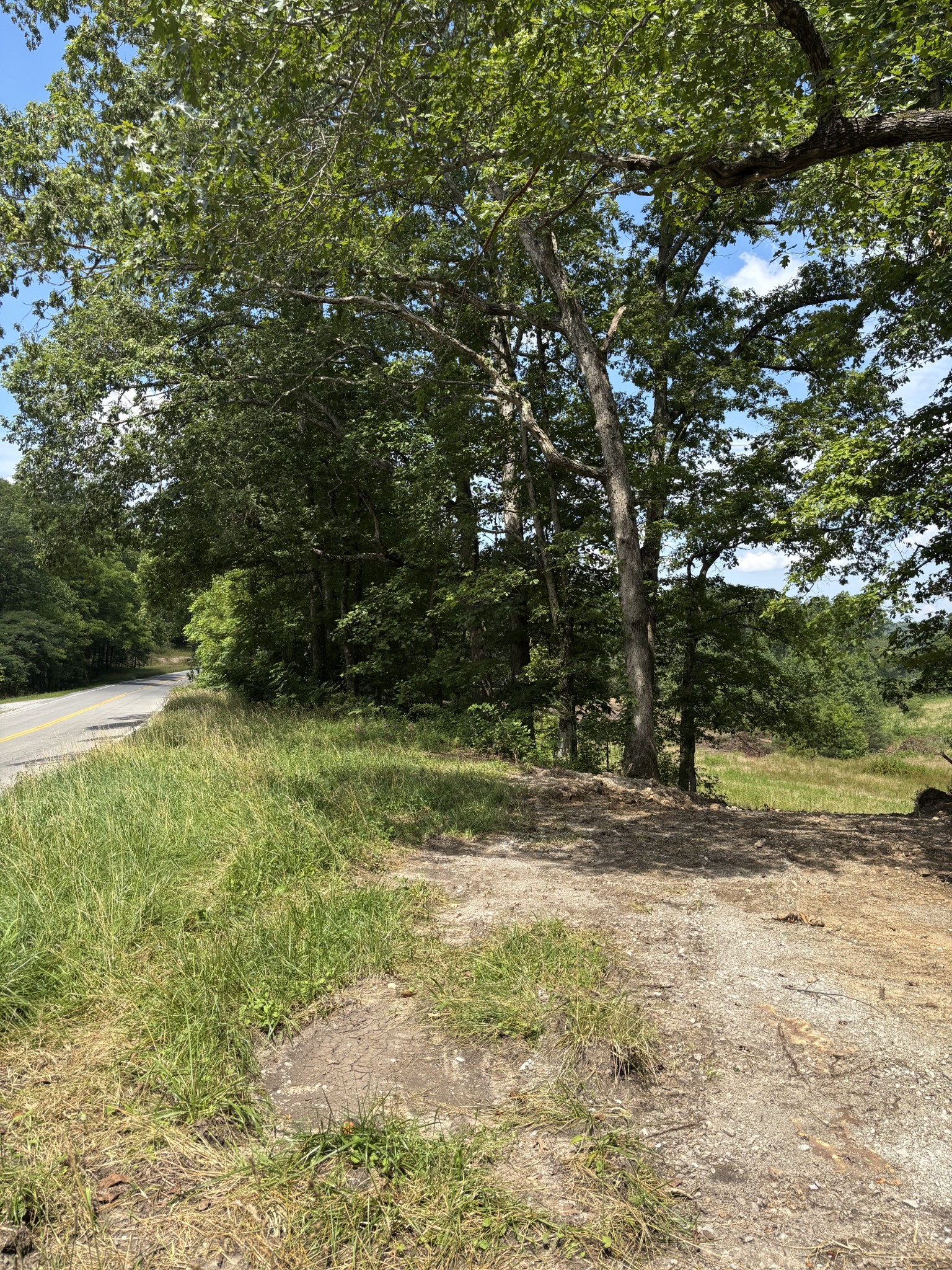 0 Myers Hill Road Tracy City, TN 37387 - Photo 9 of 11