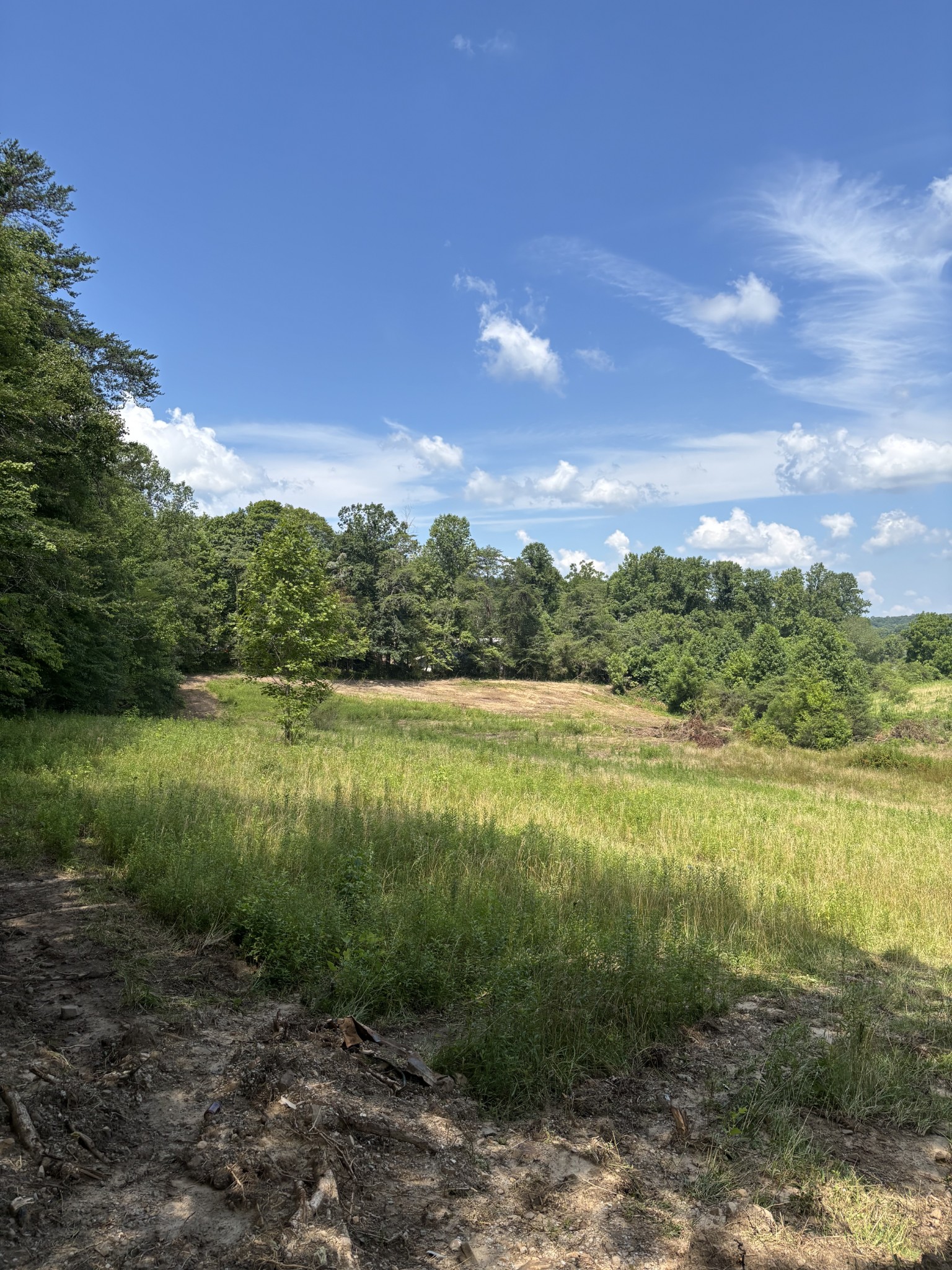 0 Myers Hill Road Tracy City, TN 37387 - Photo 10 of 11