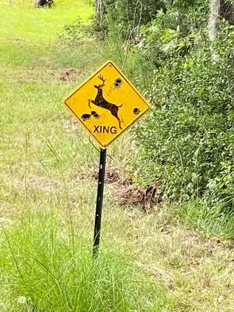 $22,900 | 793 Big Hawg Drive, Trinity, TX 75862