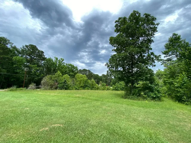 $22,900 | 793 Big Hawg Drive, Trinity, TX 75862