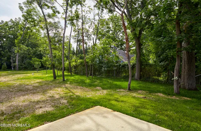 a view of a park with a tree