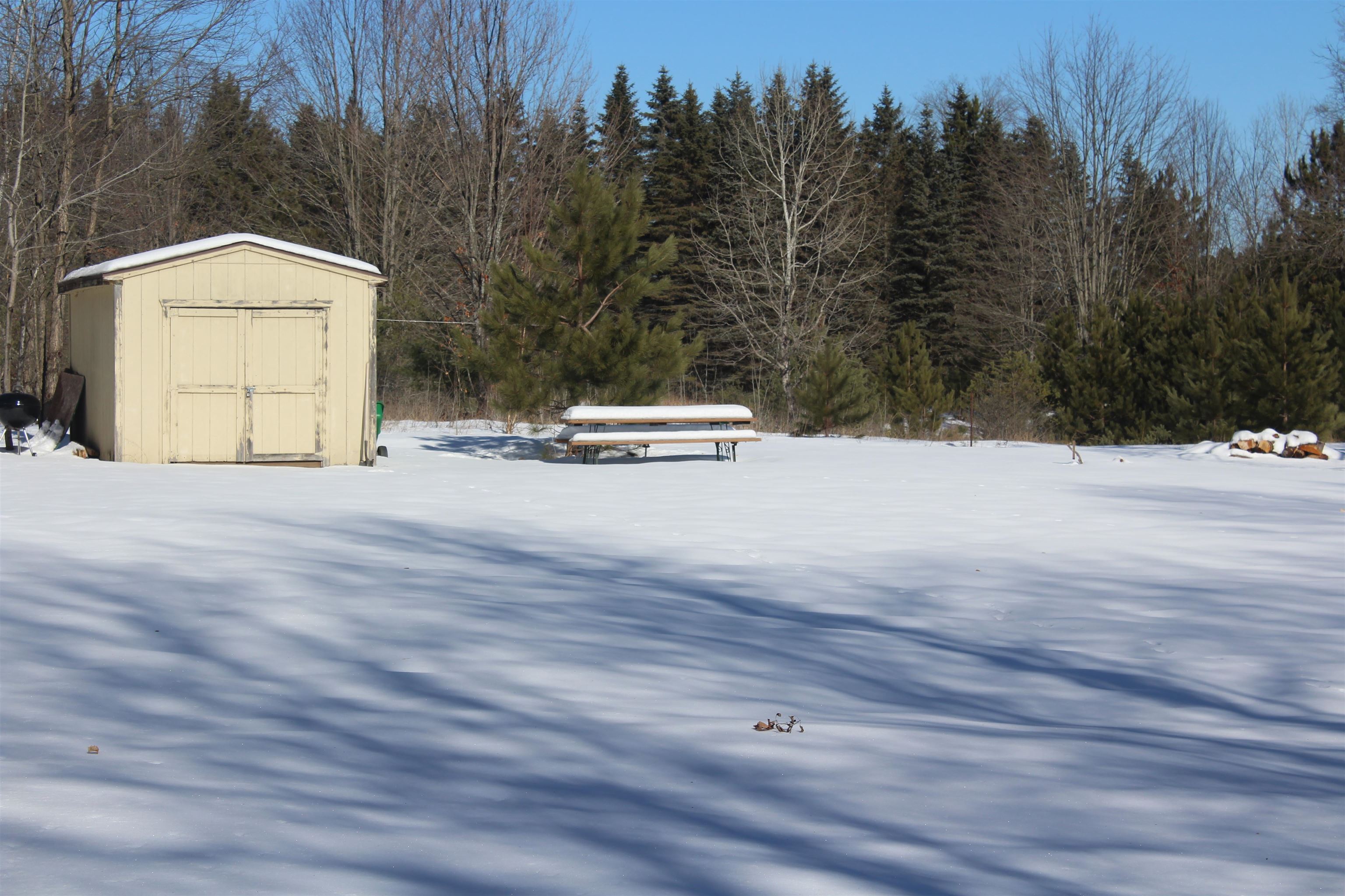 Vl Southeast Vl Se Crouch Road Fife Lake, MI 49633 - Photo 6 of 19