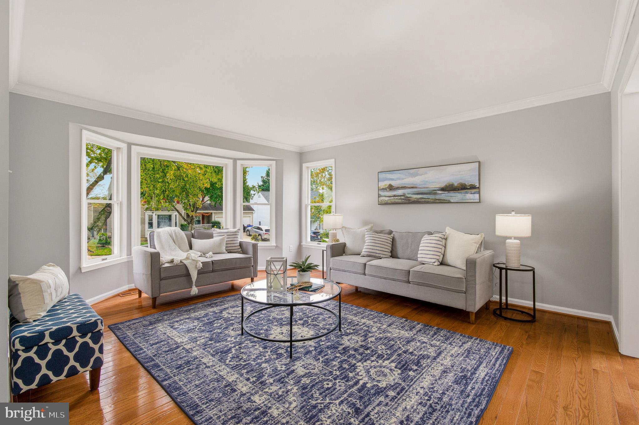 4518 Haywagon Way Ellicott City, MD 21043 - Photo 4 of 54 a living room with furniture and a rug