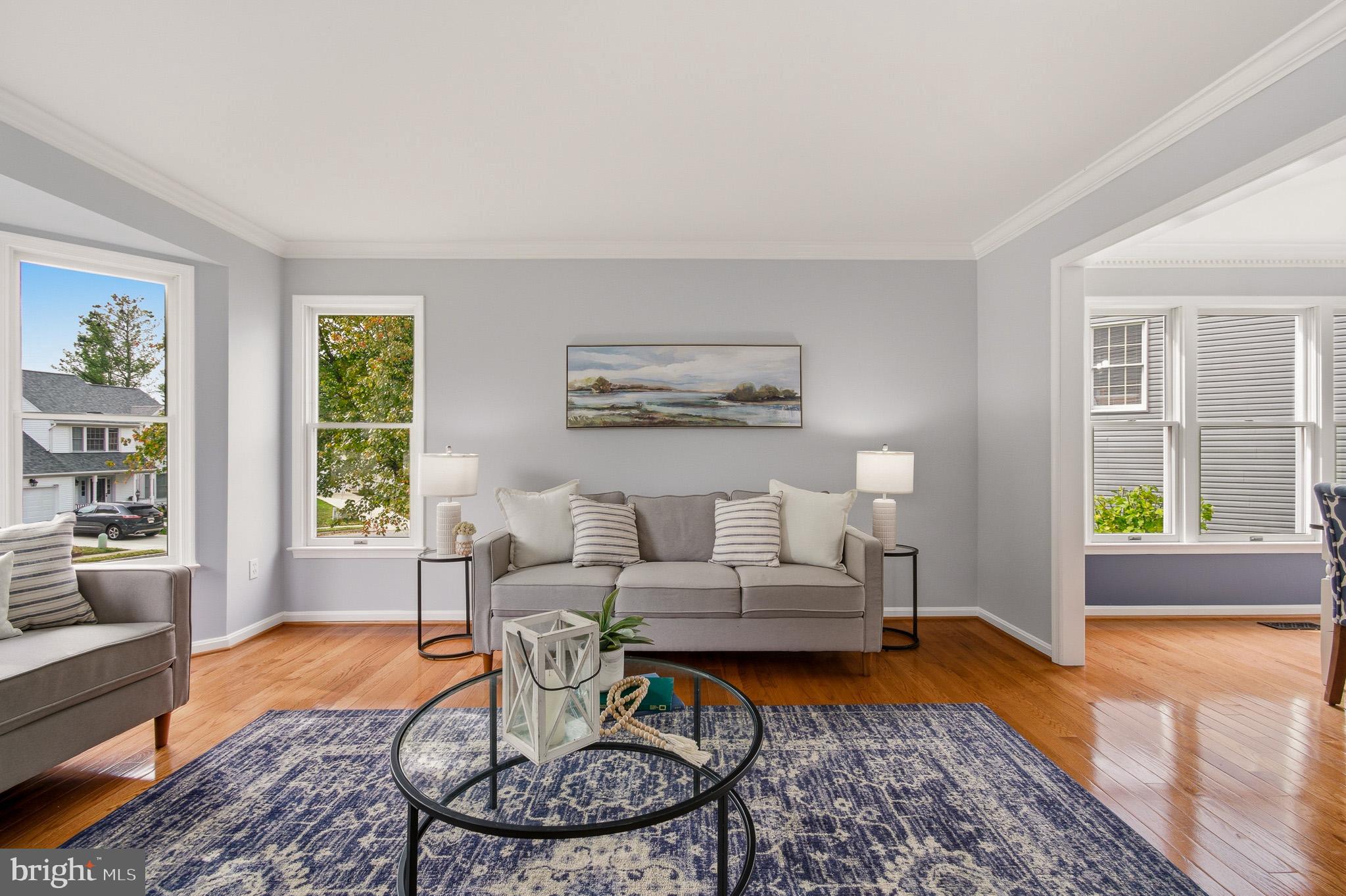 4518 Haywagon Way Ellicott City, MD 21043 - Photo 7 of 54 a living room with furniture and a rug