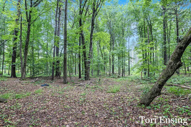 $399,900 | 4366 Woods Road, Sidney, MI 48885