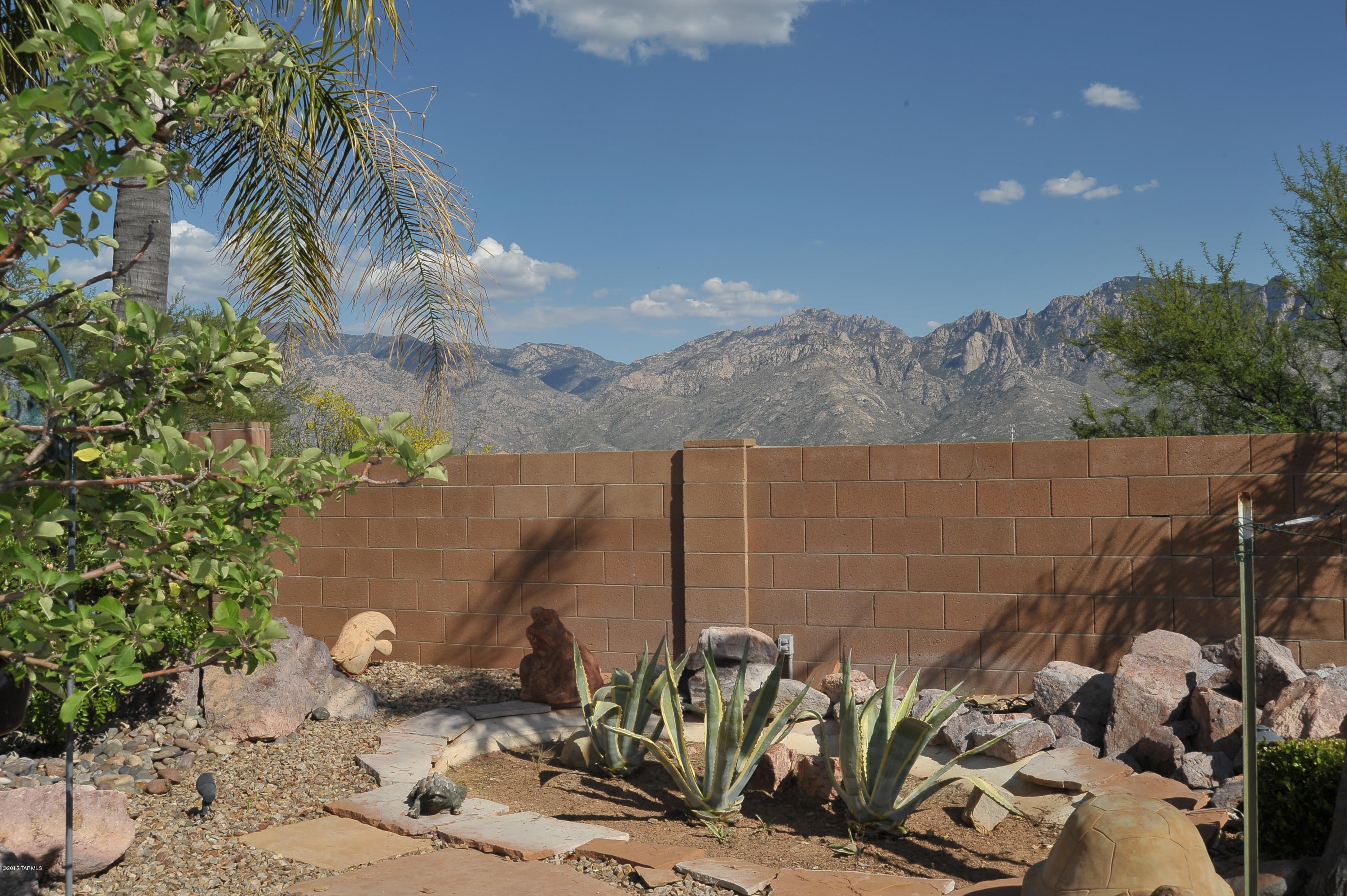 590 Bridal Veil Falls Road Tucson, AZ 85755 - Photo 38 of 41