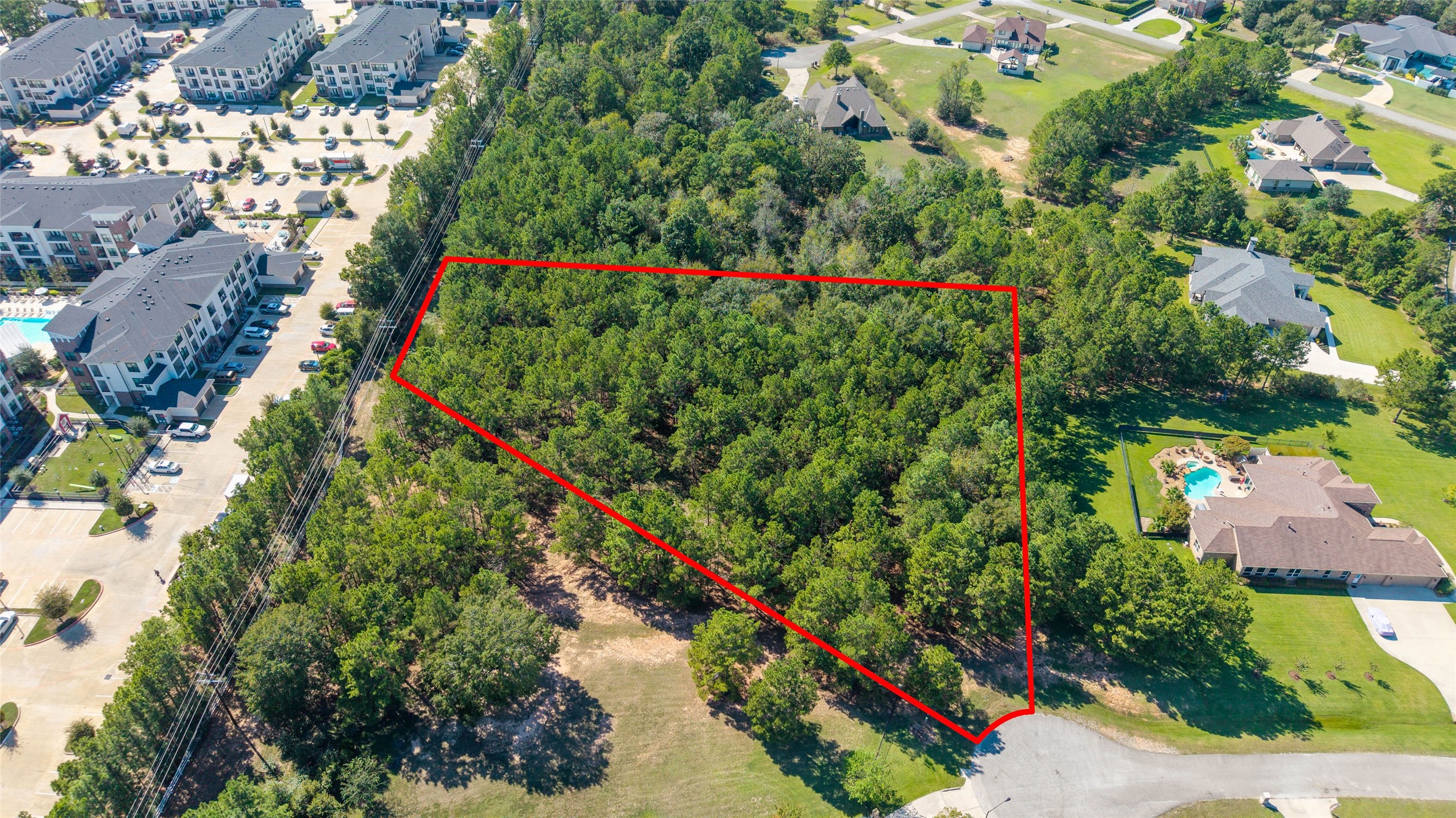 0 Ridgelake Court Montgomery, TX 77316 - Photo 14 of 29 Expansive wooded lot nestled in a serene neighborhood, offering privacy and the perfect canvas for your dream home, with proximity to modern amenities and picturesque surroundings.