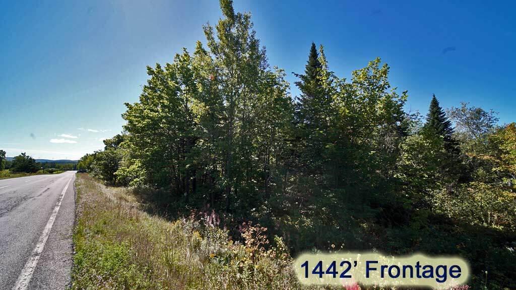 562 Rt 212 Road Merrill, ME 04780 - Photo 9 of 30 562-rt-212-merrill-land-2