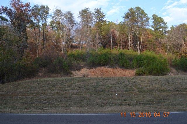 370 Blythes Ferry Road Dayton, TN 37321 - Photo 4 of 64 Acrossstreet (2)
