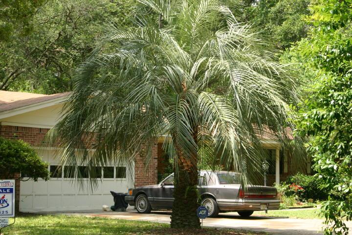 1360 Clements Road Jacksonville, FL 32211 - Photo 1 of 1 MLS Photo #1